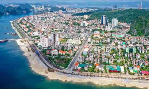 Quảng Ninh: 6 khu vực không được phân lô bán nền theo Luật mới