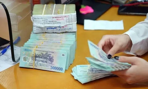 Bất động sản Phương Nam: Bị cưỡng chế dừng làm thủ tục hải quan vì nợ thuế
