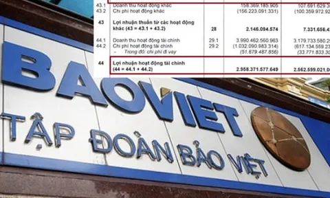 Bảo Việt rót hơn 290.000 tỷ đồng đầu tư tài chính, lợi nhuận bảo hiểm lép vế