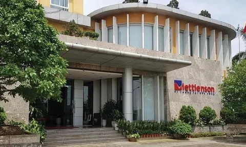 DN thua lỗ nhưng cổ phiếu tăng sốc: Đầu cơ đổ tiền vào AAV, ai hưởng lợi?