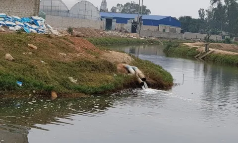 Vi phạm về môi trường, Công ty TNHH Giầy Athena Việt Nam - Chi nhánh Nga Sơn bị phạt 300 triệu đồng
