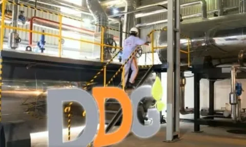 DDG trước nguy cơ hủy niêm yết: Lỗ lũy kế vượt 500 tỷ đồng