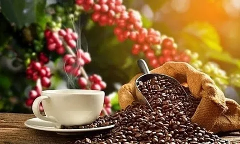 Cà phê, hồ tiêu đồng loạt quay đầu giảm mạnh
