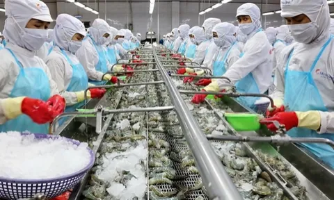 Lỗ nặng nhất sàn chứng khoán, ai là chủ nợ lớn nhất của Thuỷ sản số 4?