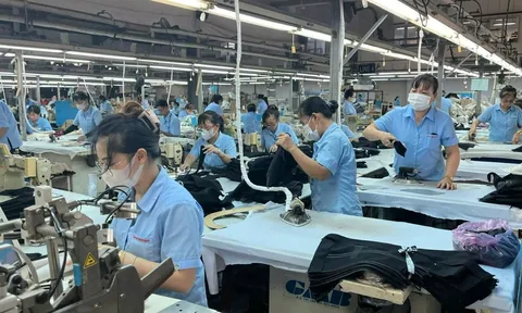 Kế hoạch hành động của Chính phủ về phát triển kinh tế tư nhân