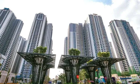 Tập đoàn ROX Group tròn 29 tuổi