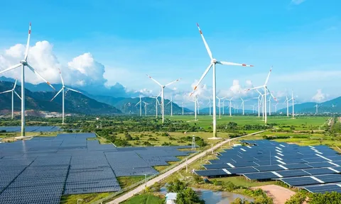 Hơn 2.100 tỷ đồng trái phiếu TNRE bị xếp hạng tín nhiệm không thuận lợi