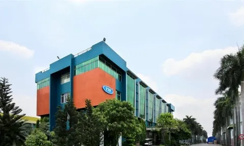 Lợi nhuận năm 2023 của Gỗ Trường Thành âm gần 270%, bị cưỡng chế thuế