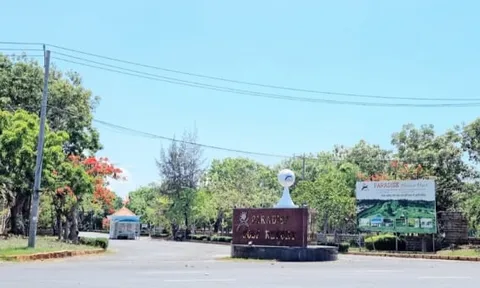 Liên doanh Vũng Tàu Paradise bị cưỡng chế ngừng sử dụng hoá đơn
