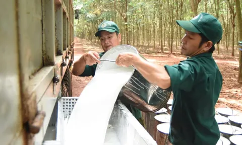 Cổ phiếu PHR thử thách đỉnh lịch sử khi có tin nhận 3.500 tỷ đồng tiền đền bù