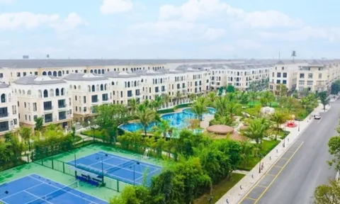 Thị trường bất động sản tăng nhiệt, dự án thấp tầng nào đang hot nhất trên thị trường?