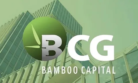 Bamboo Capital lên kế hoạch khôi phục giao dịch cổ phiếu