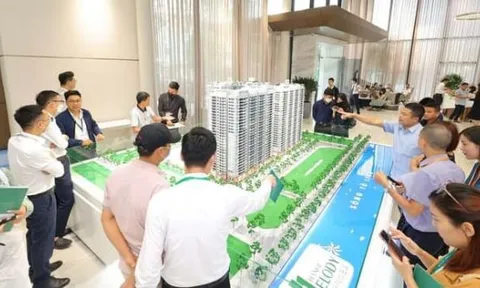 Hà Nội siết hoạt động các sàn giao dịch bất động sản