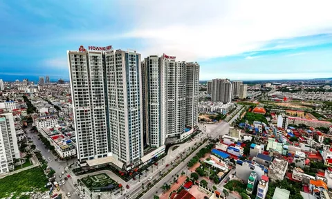 Môi giới BĐS Hải Phòng 'neo' người: DN hàng trăm nhân sự, chỉ vài người đủ tiêu chuẩn?