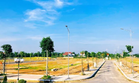 Hà Nội yêu cầu chấn chỉnh hoạt động đấu giá đất