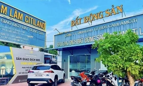 Khánh Hoà: 3 công ty bất động sản bị phạt hàng trăm triệu đồng vì vi phạm kinh doanh