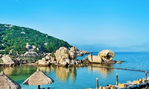Đấu giá khoản nợ của hệ thống Nhà hàng Ngọc Sương