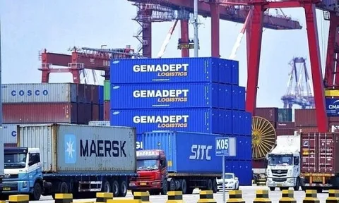 Gemadept lên kế hoạch lợi nhuận sụt giảm, dừng chào bán 100 triệu cổ phiếu