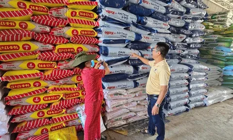 Phú Mỹ cung ứng gần nửa triệu tấn phân bón cho vụ Hè thu/mùa mưa