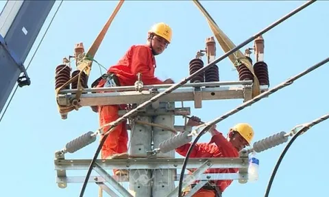 EVN chốt giá điện tạm bằng 50% khung giá phát điện quy định với 24 dự án điện tái tạo
