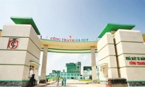 Xi măng Công Thanh: Lỗ luỹ kế hơn 6.000 tỷ, kiểm toán từ chối đưa ra ý kiến