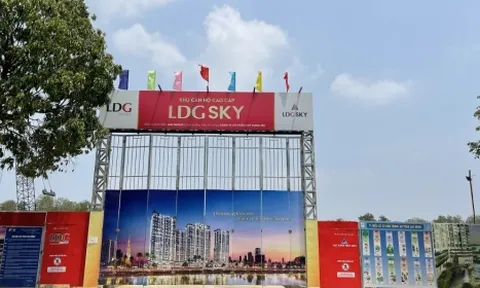 LDG: Chủ tịch bị bán giải chấp 5 triệu cổ phiếu, Phó chủ tịch thoái toàn bộ vốn