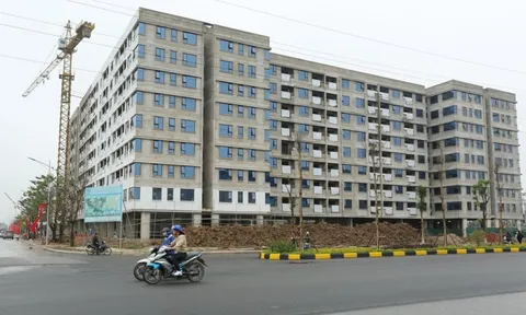 Làm nhà ở xã hội gần 3.100 tỷ đồng, Arita có tiềm lực thế nào?