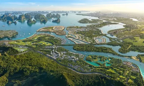 Vinhomes khởi động chương trình chuyển hóa nguồn lực vàng vào nền kinh tế