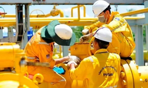 PV GAS duy trì lượng tiền gửi ‘khủng’, gánh hơn 4.000 tỷ đồng nợ xấu
