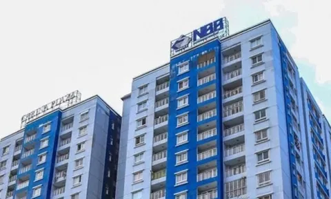 Năm Bảy Bảy bất ngờ hủy phương án chào bán 50 triệu cổ phiếu