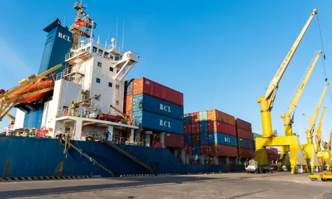Tân Cảng Logistics: Lợi nhuận tăng, chia cổ tức 25% nhưng cổ phiếu giao dịch trầm lắng