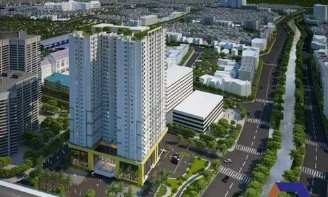 Công ty kiểm toán cho thành viên Tân Hoàng Minh bị đình chỉ tư cách