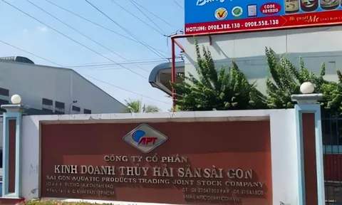 Vay 5.833 lượng vàng giá 7,7 triệu/lượng, DN thủy sản gánh khoản nợ gần 2.750 tỷ đồng