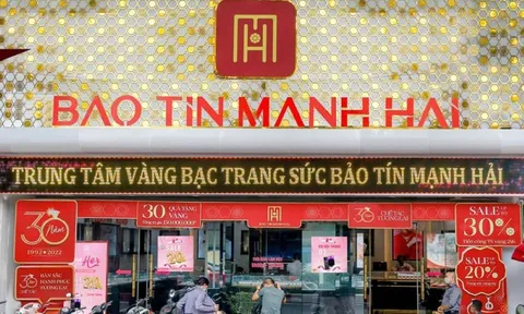 Bảo Tín Mạnh Hải trước thềm IPO: Bức tranh tài chính nhiều màu sắc