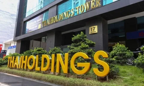 Thaiholdings thoái vốn Thaigroup, không còn ghi nhận công ty con
