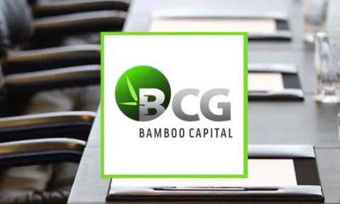 Hàng loạt kế hoạch 'khủng' nhưng lại khát vốn, Bamboo Capital đang ra sao?