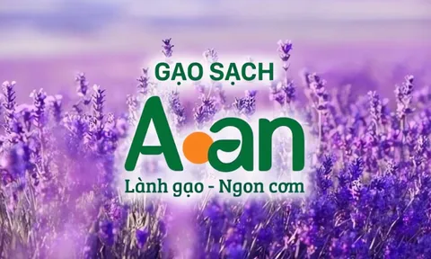 Cổ phiếu tăng trần liên tiếp sau niêm yết, Lương thực A An lên tiếng