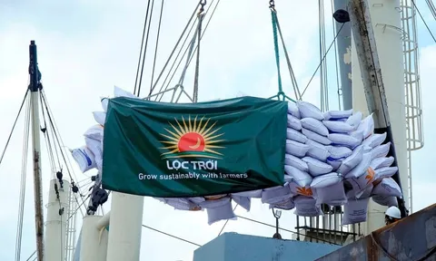 Lộc Trời vẫn chưa thể 'cởi trói' hoàn toàn cho cổ phiếu LTG