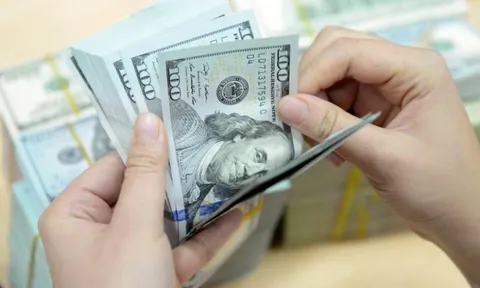 Giá USD ngân hàng lập đỉnh mới, vượt 26.200 đồng