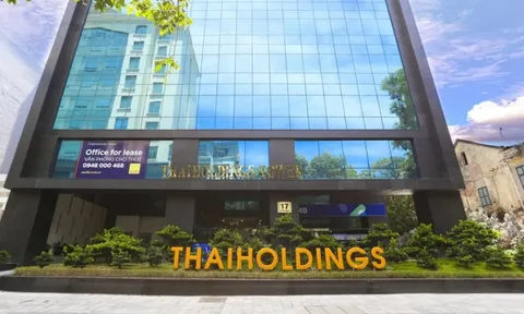 Cổ phiếu 'bốc đầu' tăng gấp 4 lần, Thaiholdings nói gì?