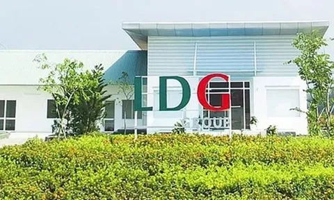 Ngân hàng thu hơn 500 thửa đất của LDG để xử lý nợ xấu