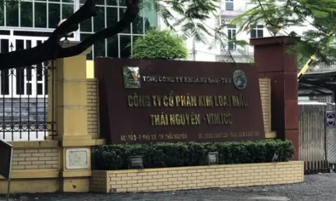 Vi phạm môi trường, Công ty CP Kim loại màu Thái Nguyên – Vimico bị xử phạt gần 450 triệu đồng