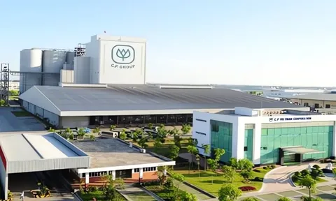 C.P. Group những lần dính lùm xùm: Từ môi trường, lao động, thị phần đến chất lượng