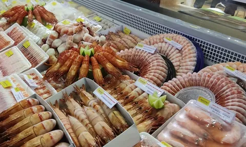 Hậu thua lỗ, 'vua Tôm' Minh Phú lại ‘ôm mộng’ lãi nghìn tỷ