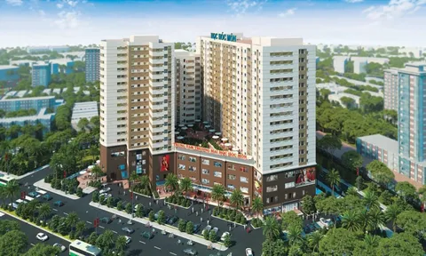 Cổ phiếu HQC cháy hàng: Vẫn rẻ hơn 'cốc trà đá', mơ cuối năm về lại mệnh giá