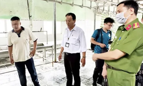 Vụ C.P.Việt Nam: Người tố cáo khẳng định thông tin đúng và còn nhiều bằng chứng khác