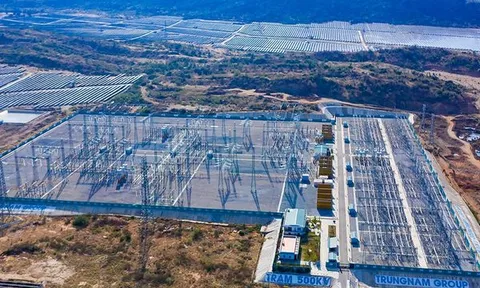 Trung Nam Group: Tổng tài sản đạt hơn 96.000 tỷ đồng, lợi nhuận năm 2022 giảm 84%