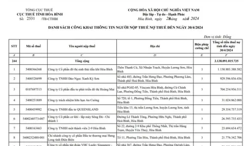 Hòa Bình: Công khai danh sách 244 doanh nghiệp nợ thuế