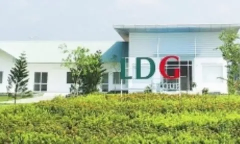 LDG: Hai lần đại hội cổ đông bất thành, tài sản chủ yếu được tài trợ bởi các khoản vay