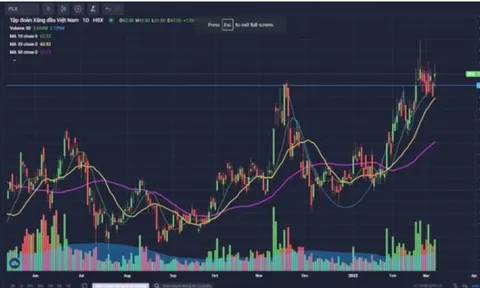 Thanh khoản sụt giảm, VN-Index mất 1,5 điểm